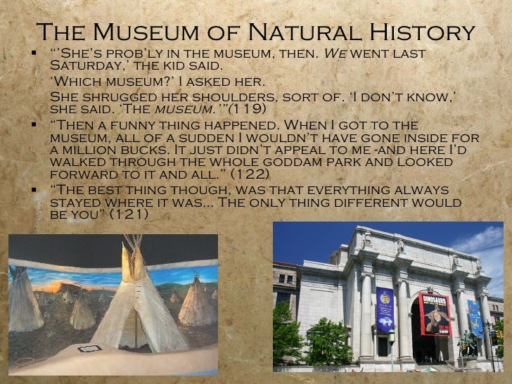 How To Get To Natural History Museum From Penn Station How To Get To Natural History Museum From Penn Station