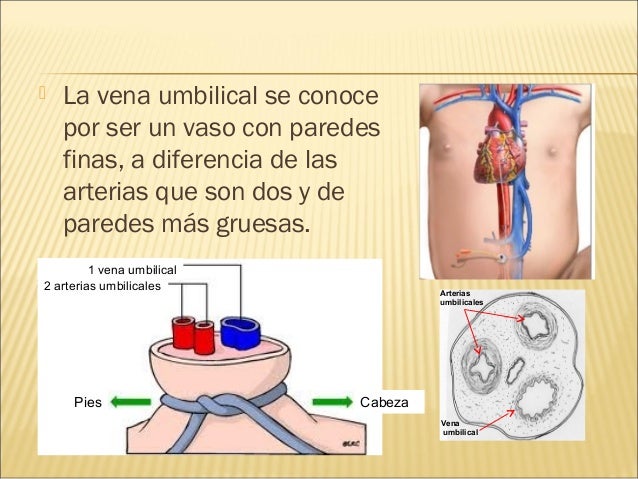 Quien y como ha arreglado los asteriscos vasculares en los pies