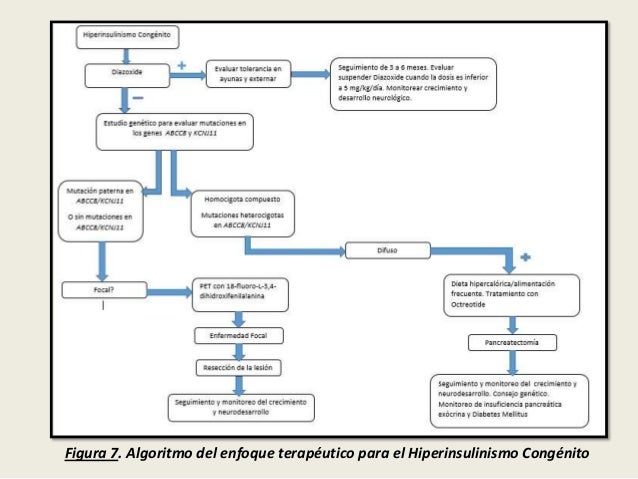 HIPERINSULINISMO CONGÉNITO E HIPOGLUCEMIA NEONATAL. HIPERINSULINISMO CONGÉNITO E HIPOGLUCEMIA NEONATAL.