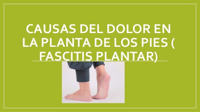 El tratamiento de la columna vertebral en la primera miel