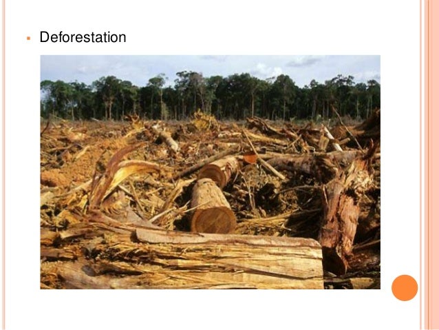 the causes and effects of climate Teachers tv- climate change - the causes causes and effects of climate change | national geographic - duration: 3:05 national geographic 202,558 views. the causes and effects of climate Teachers tv- climate change - the causes causes and effects of climate change | national geographic - duration: 3:05 national geographic 202,558 views.