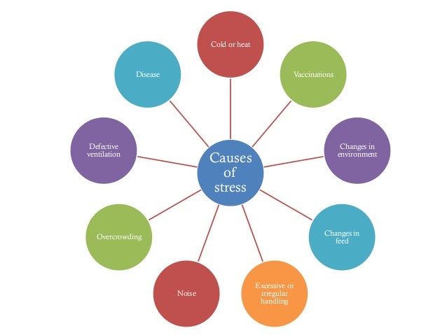 what triggers stress and the importance of reducing it Before you can reduce the negative effects of stress, you have to find out what causes your stress and how you cope one tool that can help is mindfulness, which is a practice of becoming more aware of what’s going on—in your body, mind, and the environment around you rather than running back . what triggers stress and the importance of reducing it Before you can reduce the negative effects of stress, you have to find out what causes your stress and how you cope one tool that can help is mindfulness, which is a practice of becoming more aware of what’s going on—in your body, mind, and the environment around you rather than running back .