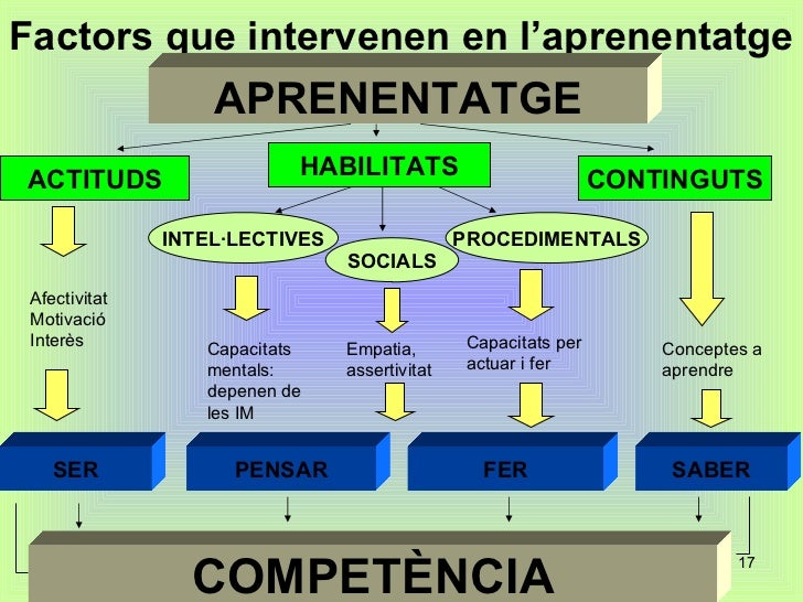 Compet ncies B siques