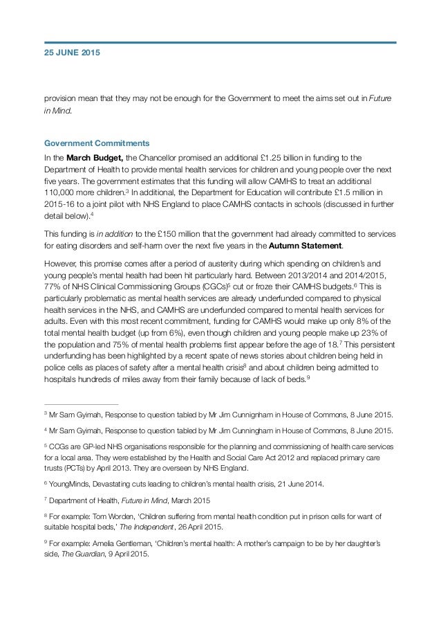 Exceptional American Government Essay Example