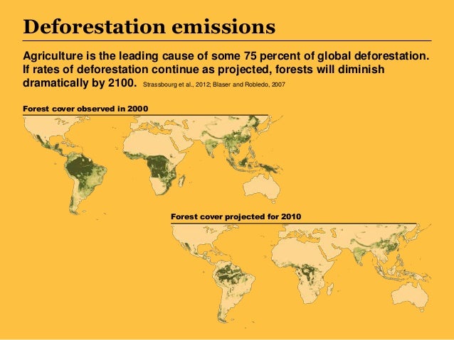 sheet deforestation fact