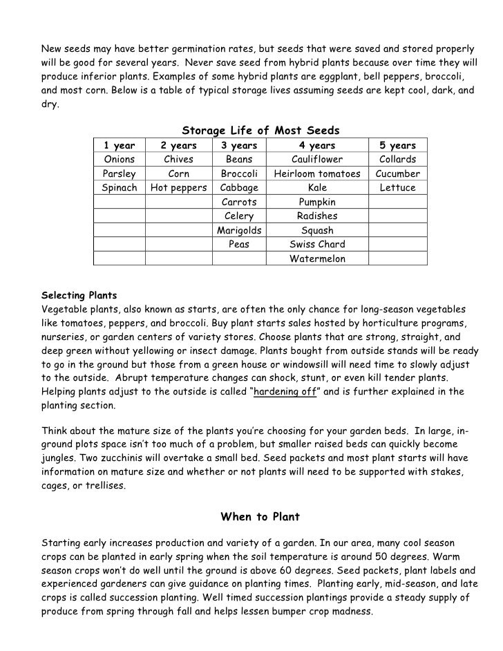 Things To Put In A Personal Statement Vtac Multimediadissertation web 