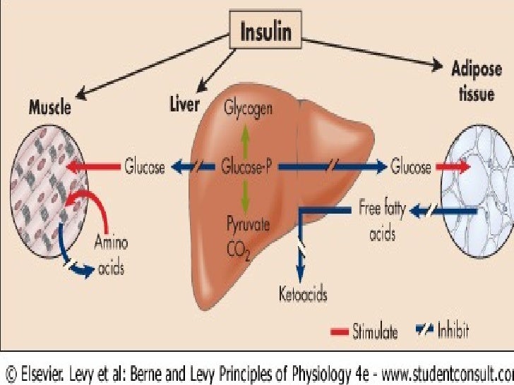 cetoacidosis y estado hiperosmolar cetoacidosis y estado hiperosmolar
