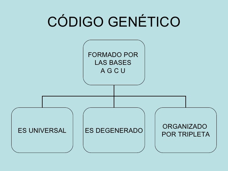 Còdigo genético diapositivas