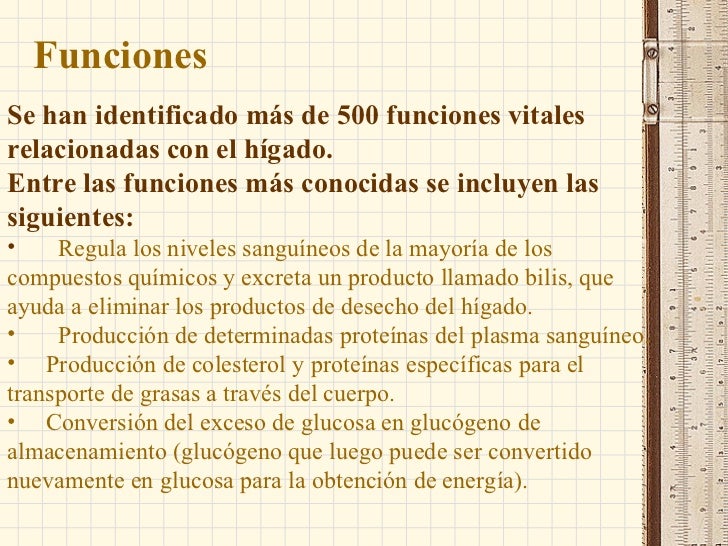 Eliminar La Grasa Del Higado