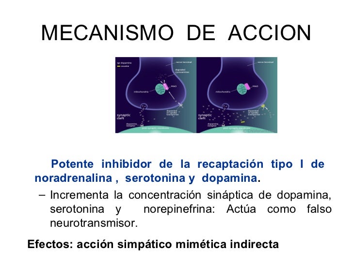 INTOXICACION POR COCAINA Dr. Luis Troncoso Castro