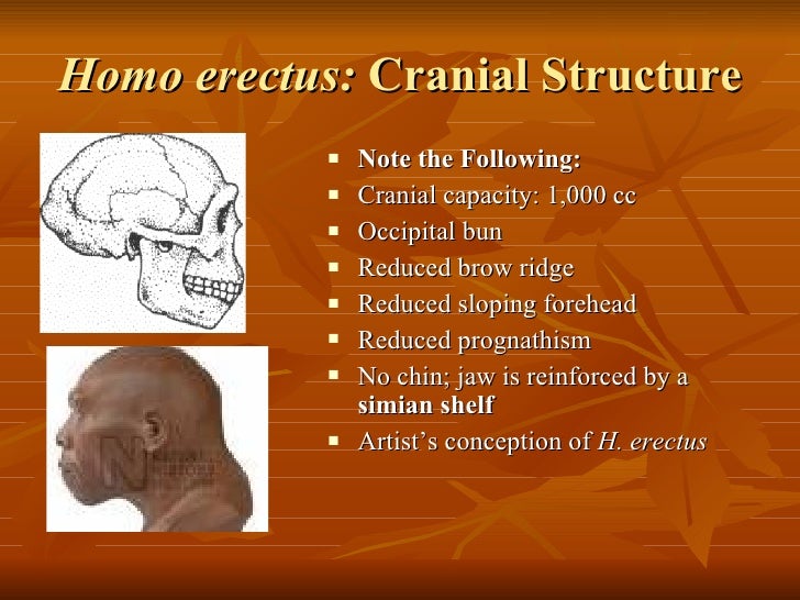 HUman Biological and Cultural Evolutioj