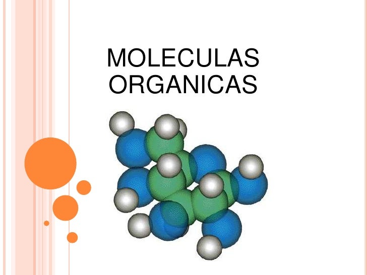 moleculas organicas