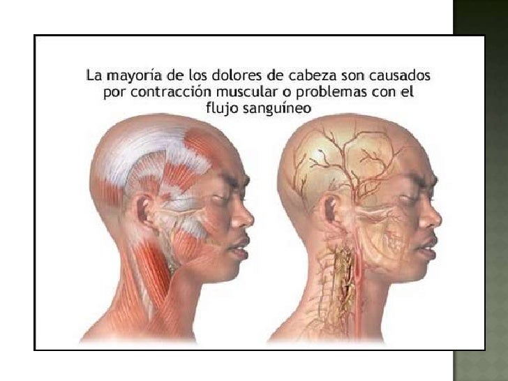 Los sanatorios para el tratamiento de la columna vertebral