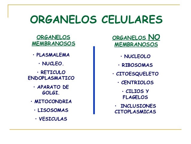 BIOLOGIA CELULAR