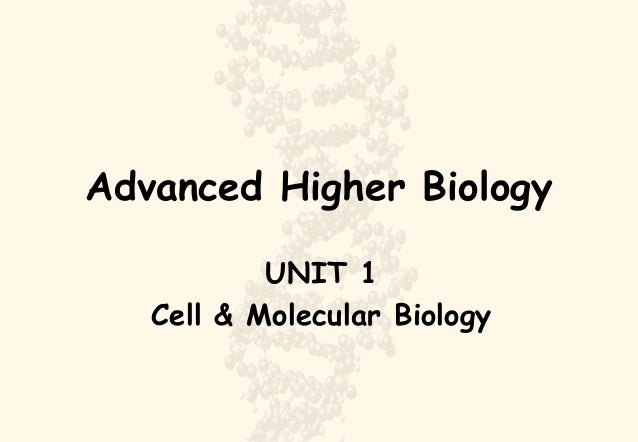 higher biology respiration essay higher biology respiration essay