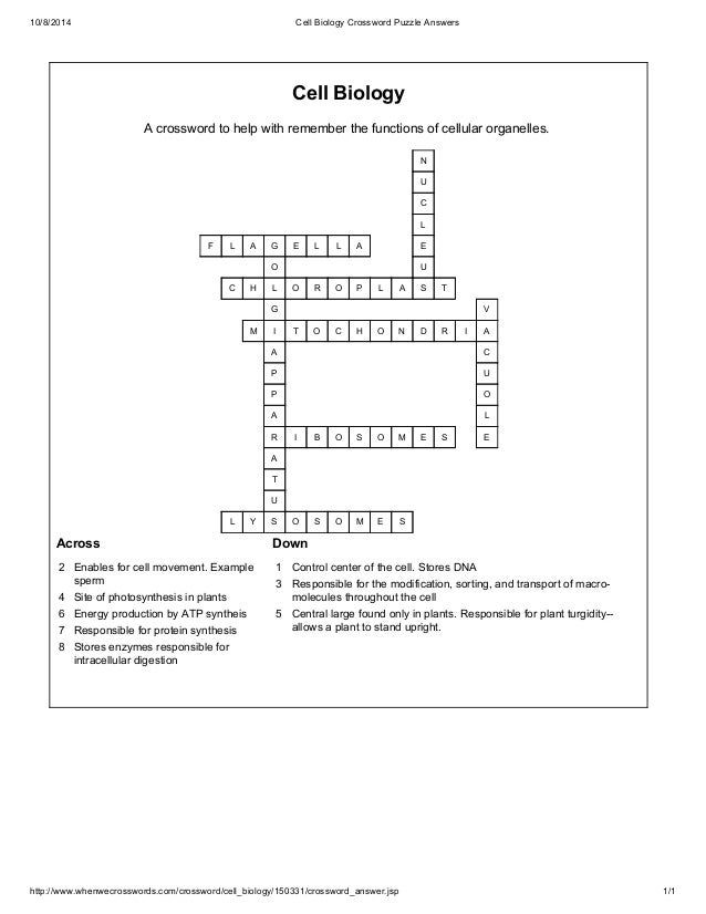 Plant Cell Diagram Crossword Key 12 Best Images Of Simple Translation Plant Cell Diagram Crossword Key 12 Best Images Of Simple Translation
