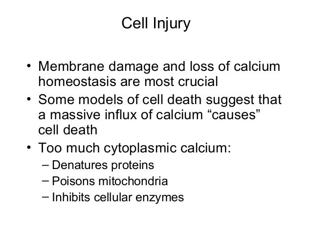 damage of beet cell membranes caused damage of beet cell membranes caused