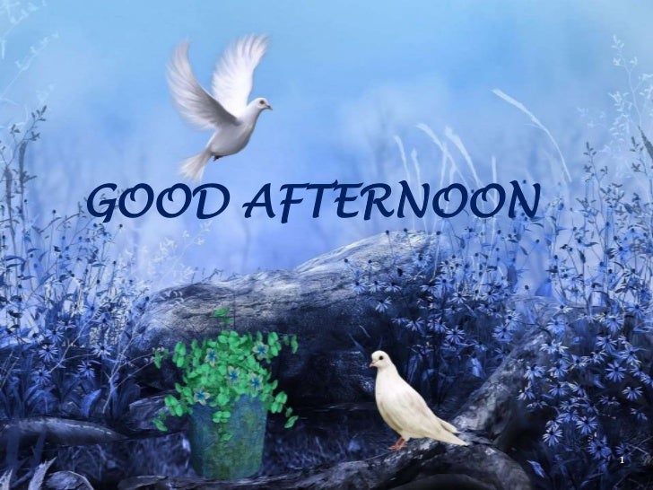 Diagram Of Cell Organelles Name