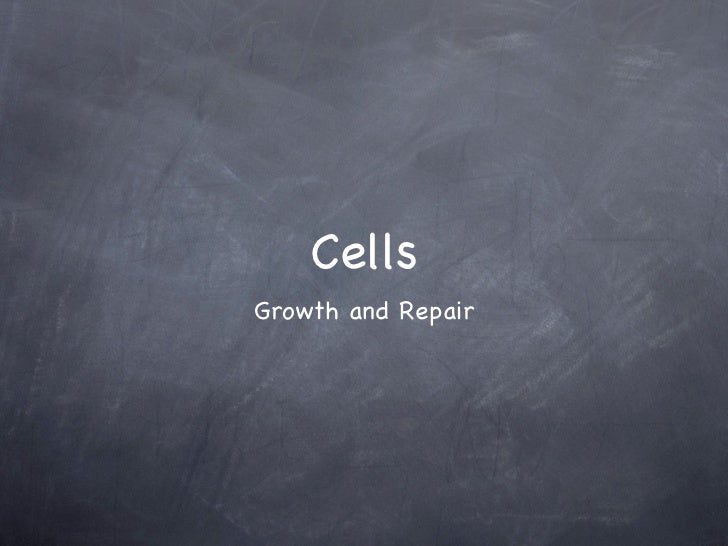 What Provides New Cells For Growth And Repair