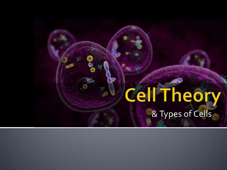 Cell theory & types of cells