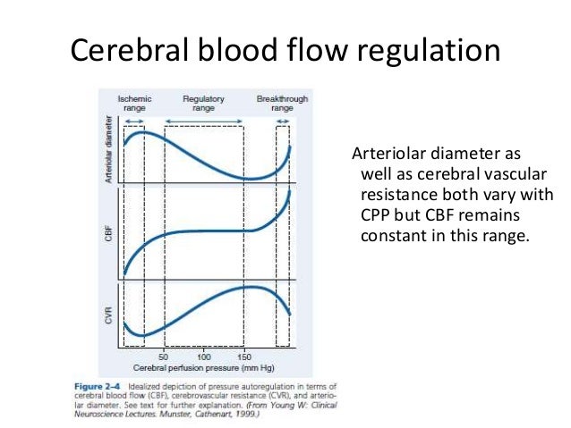 Cerebral blood flow - Which Factor Improves Cerebral Blood Flow
