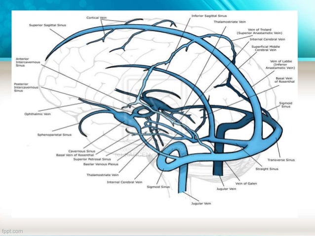 Stroke dysphagia treatment speedy dalam stroke