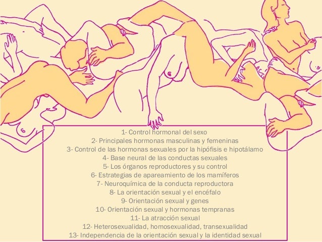B5 La vitamina para los cabellos