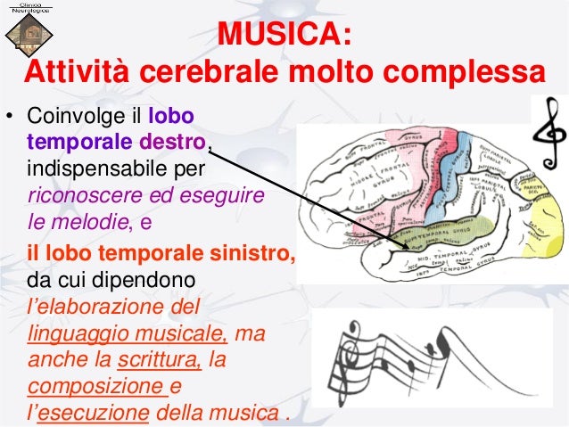 Cervello e musica