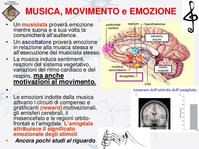 Cervello e musica
