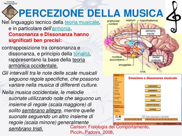 Cervello e musica