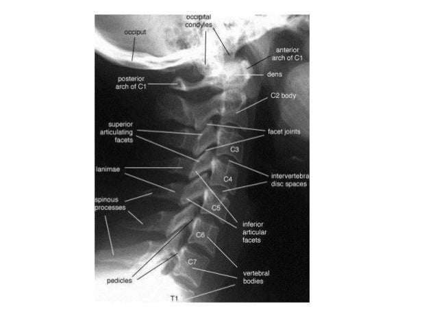 Cervical most cancers remedy whilst pregnant adenocarcinoma cervical most cancers survival rate