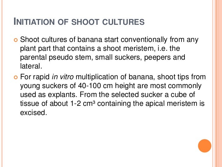 Banana tissue culture research papers