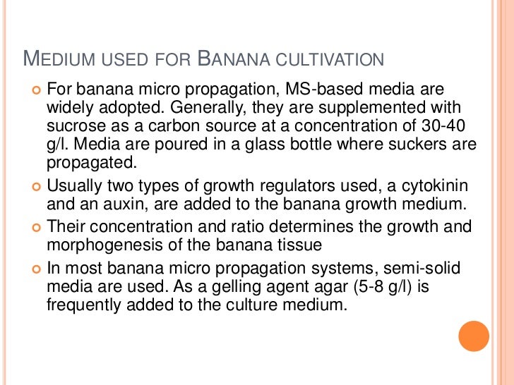 Banana tissue culture research papers