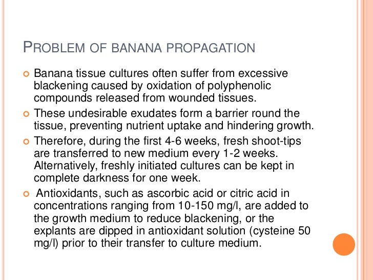 Banana tissue culture research papers