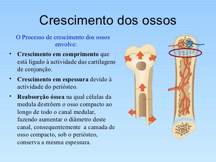 Aumento de preço em um pênis