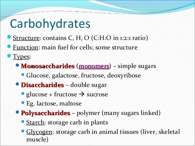 carbohydrates structure and function