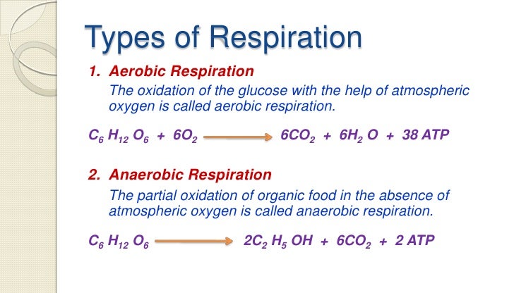 what is the definition of anaerobic respiration