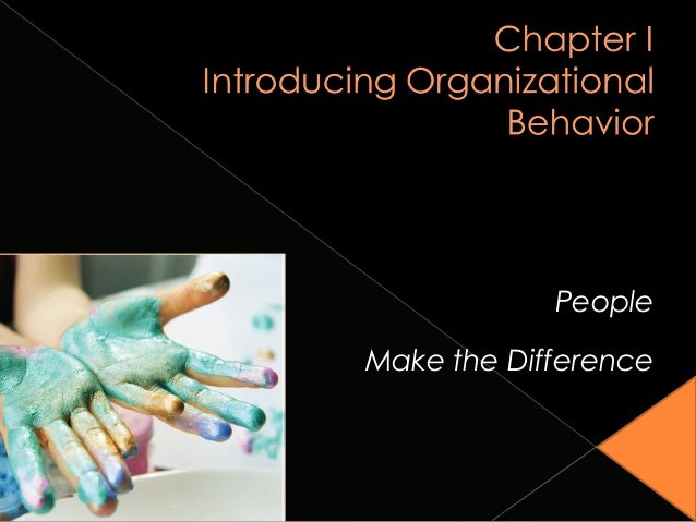 chapter 1 introduction to organizational behavior chapter 1 introduction to organizational behavior