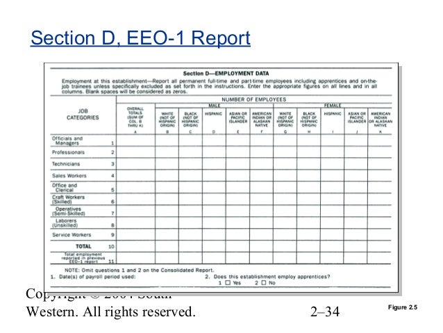 eeo 1 report sle eeo 1 report form template chapter 02 equal employment eeo 1 report sle eeo 1 report form template chapter 02 equal employment