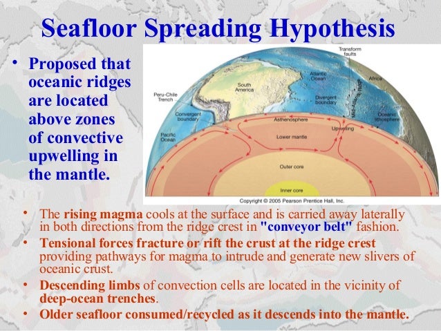 Seafloor Spreading Hypothesis
• The rising magma cools at the surface and is carried away laterally
in both directions fro...