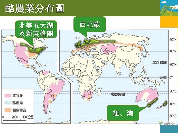 1.4.1 酪農業
               多分布於地狹人
特色：           稠的都市邊緣
        小
  農場規模較____
  以人工牧草及飼料作物飼養乳牛
          集約
  勞力較密集較___...