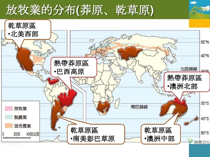 1.4.2 放牧業
特色：     降低生產成本
  大規模
            單純
  專業化牲畜種類_______(單純or複雜)
          粗放
  勞力投入低較_______(集約or粗放)
  採定居圈牧...