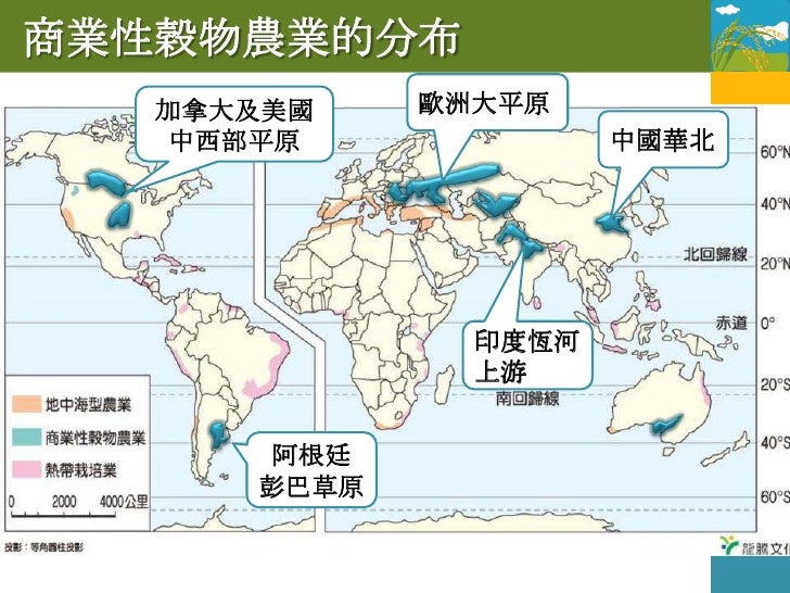 1.5.1 商業性穀物農業
       純種小麥          單位勞力產量高，
特色                  總產量亦大
  專業化、企業化、科學化
                  粗放
  勞力投入少，機械化程度高...