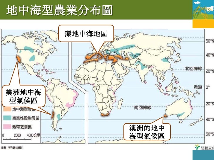 1.6.2 地中海型農業
特色
  畜牧：山區山牧季移；平原區牧牛或養豬
            灌溉發展
  作物：穀物和耐旱果樹     蔬果栽種
             都市興起
  商業化程度日益提高
          ...