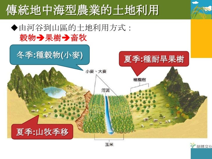 混合農業V.S地中海型農業

         混合農業       地中海型農業

同   經營         農牧並行、輪耕

    收入   牲 畜             作 物

    環境   溫帶草原        地中海氣...