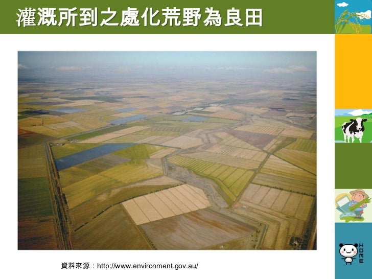 2.3 墨累—大令盆地環境問題
1. 農場只灌不排土壤鹽鹼化
 