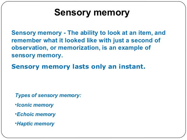 Echoic memory essay picture