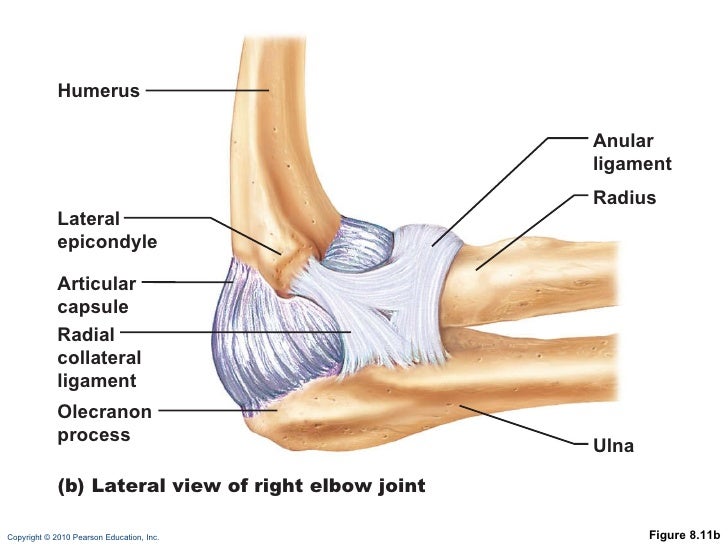 Ch 08 lecture_outline_b