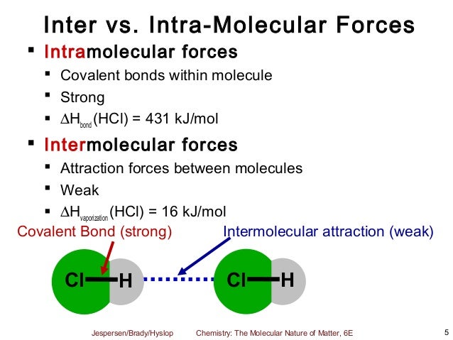 intermolecular and intramolecular forces pdf