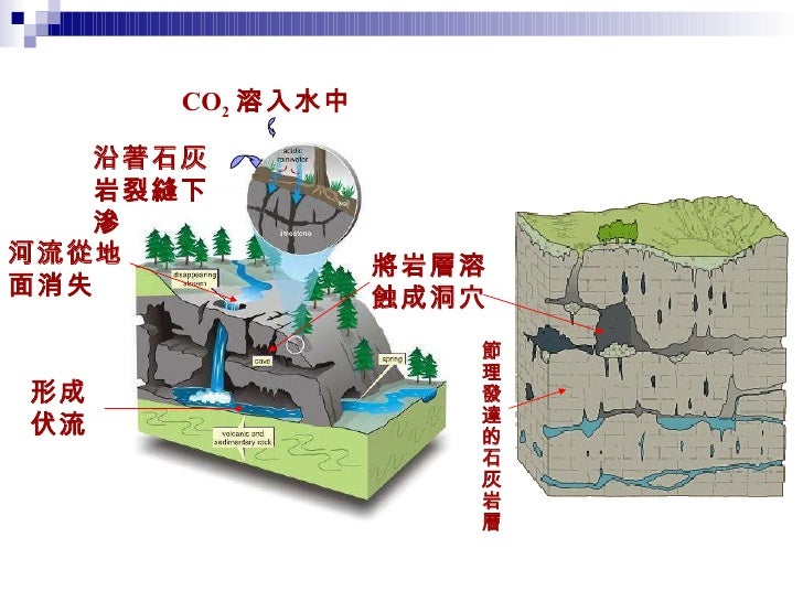 CO 2 溶入水中 沿著石灰岩裂縫下滲 將岩層溶蝕成洞穴 河流從地面消失 形成伏流 節理發達的石灰岩層 